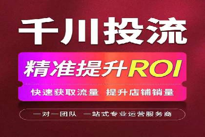 从小白到高手：百度竞价赚钱全记录